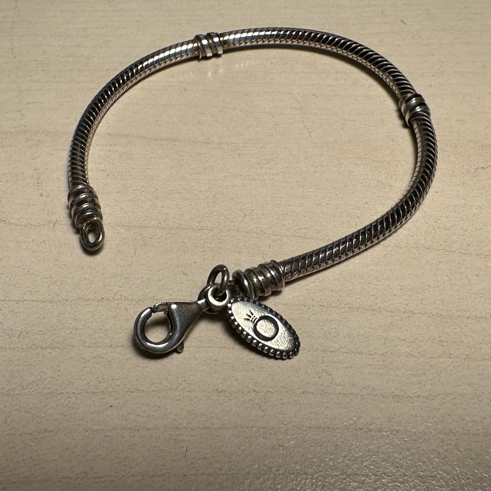 Small Pandora Charm Bracelet